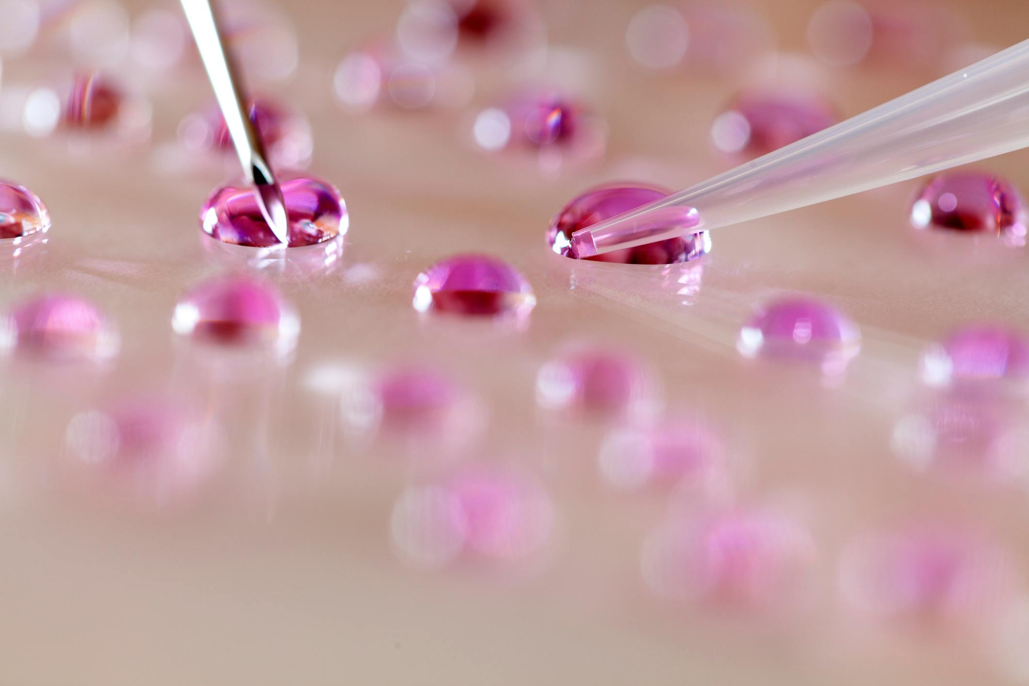 10 Questions To Ask Yourself Before Starting IVF (By Women Who Know ...