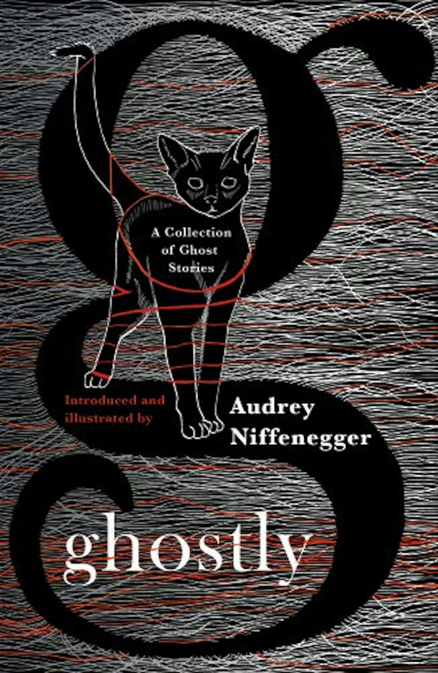 Ghostly: A collection of Ghost Stories - Edited & illustrated by Audrey Niffenegger (Vintage)