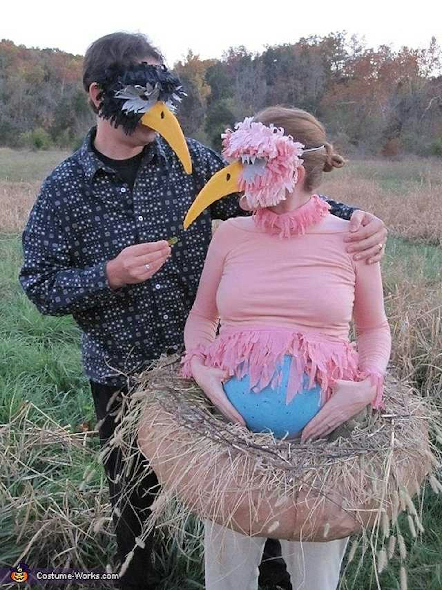birds nest egg pregnancy halloween costume