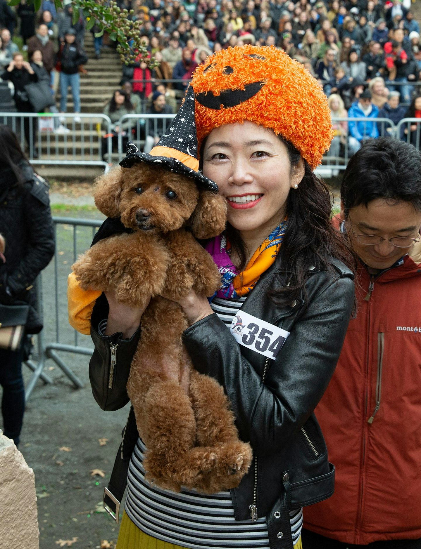 Dogs at Halloween - Grazia (Stacked)