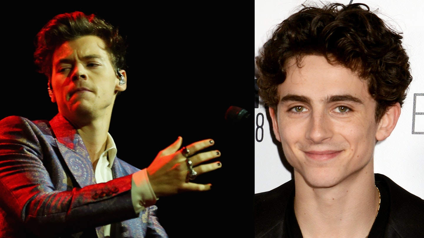 Harry Styles and Timothée Chalamet