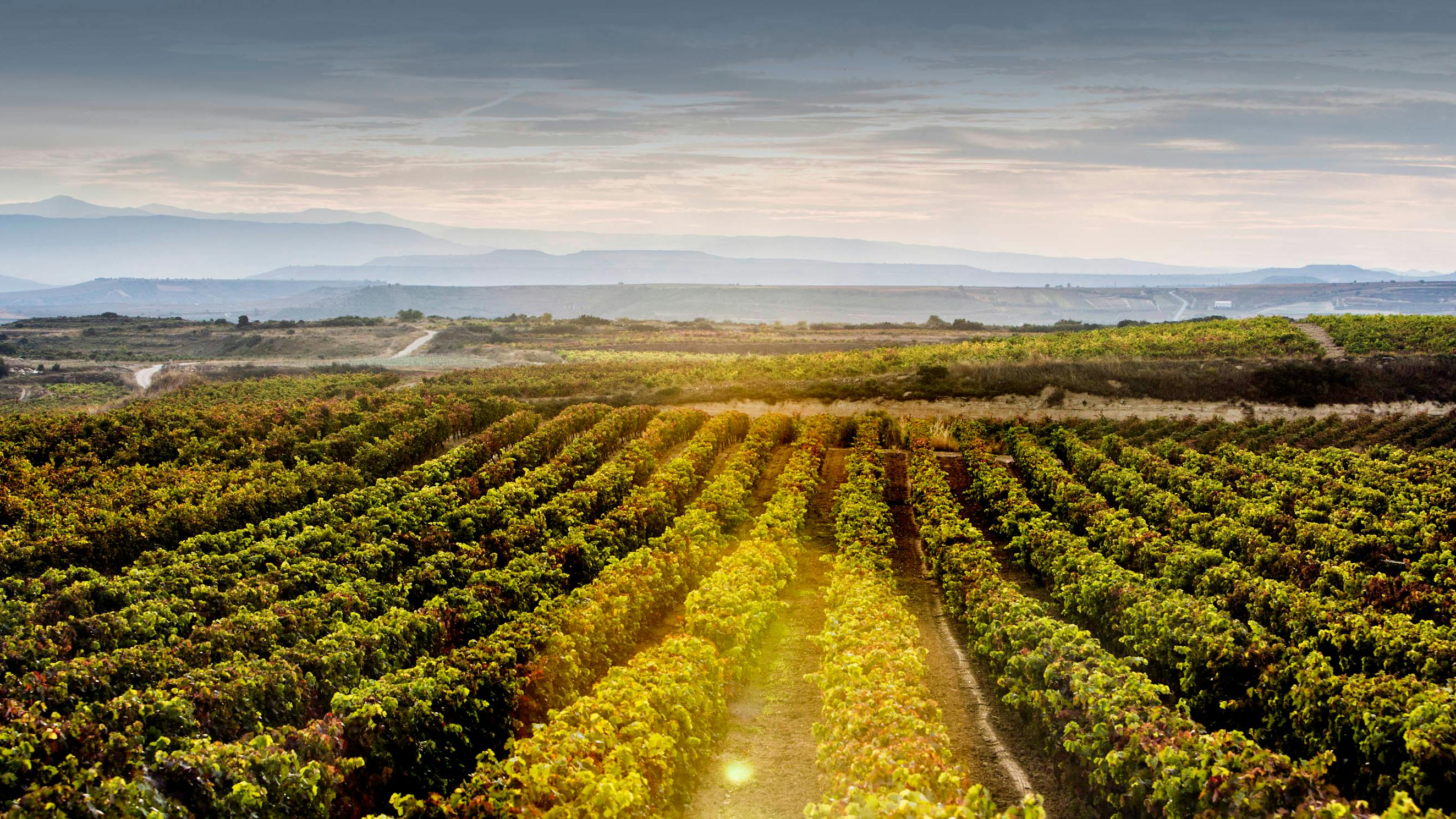 Why La Rioja is the perfect romantic getaway break