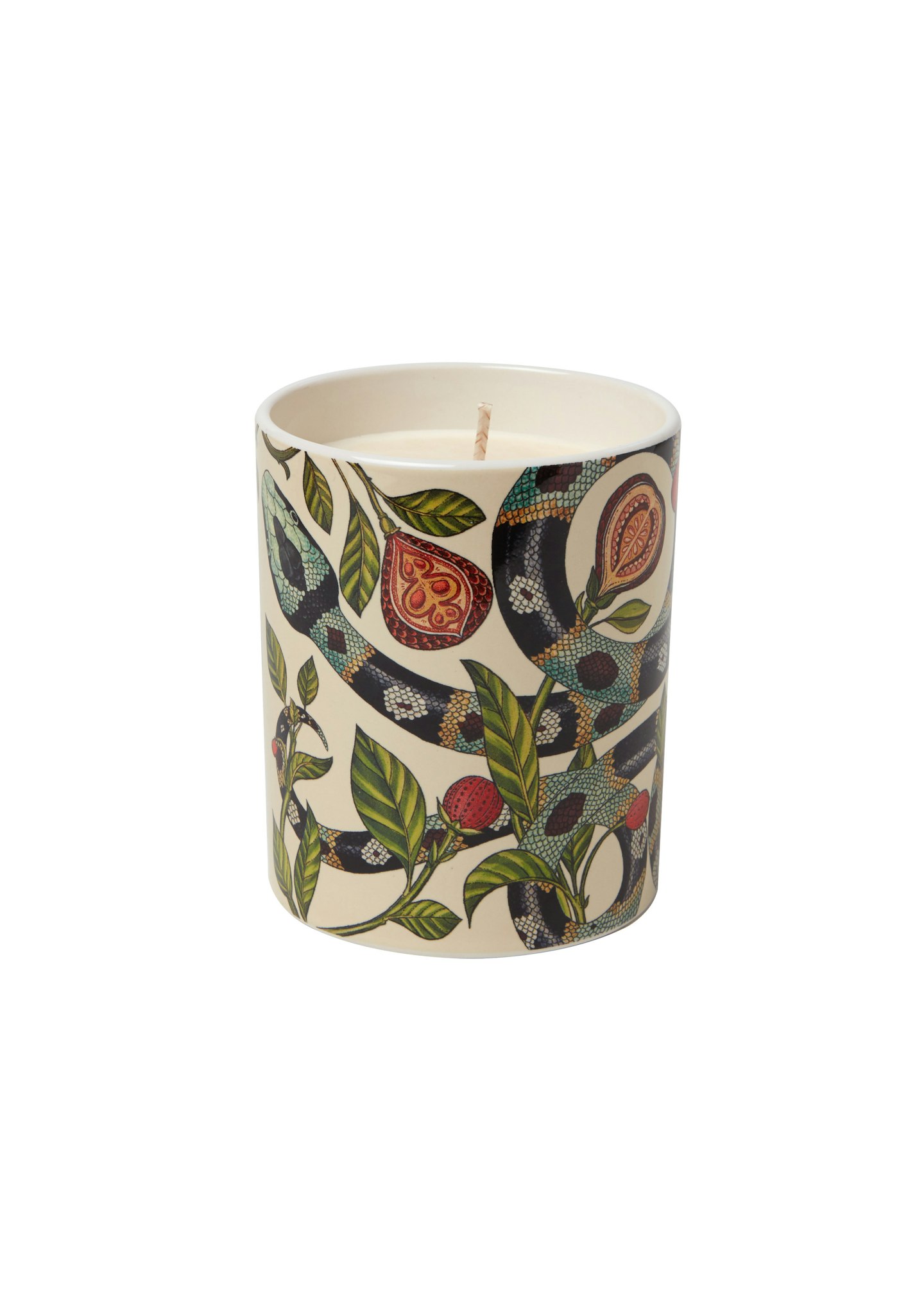 polkra candle