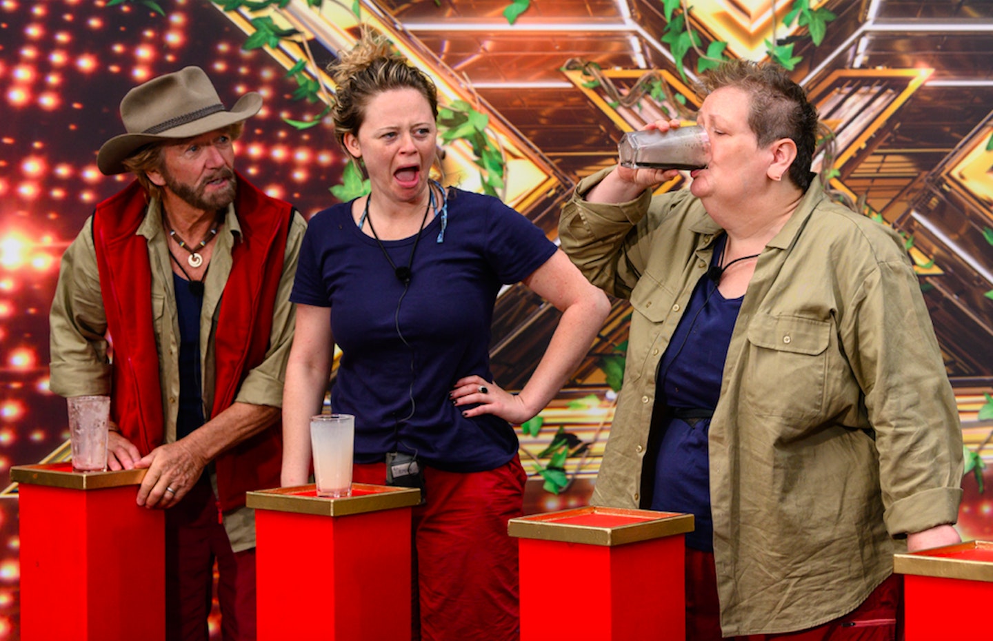 anne hegerty im a celeb coke