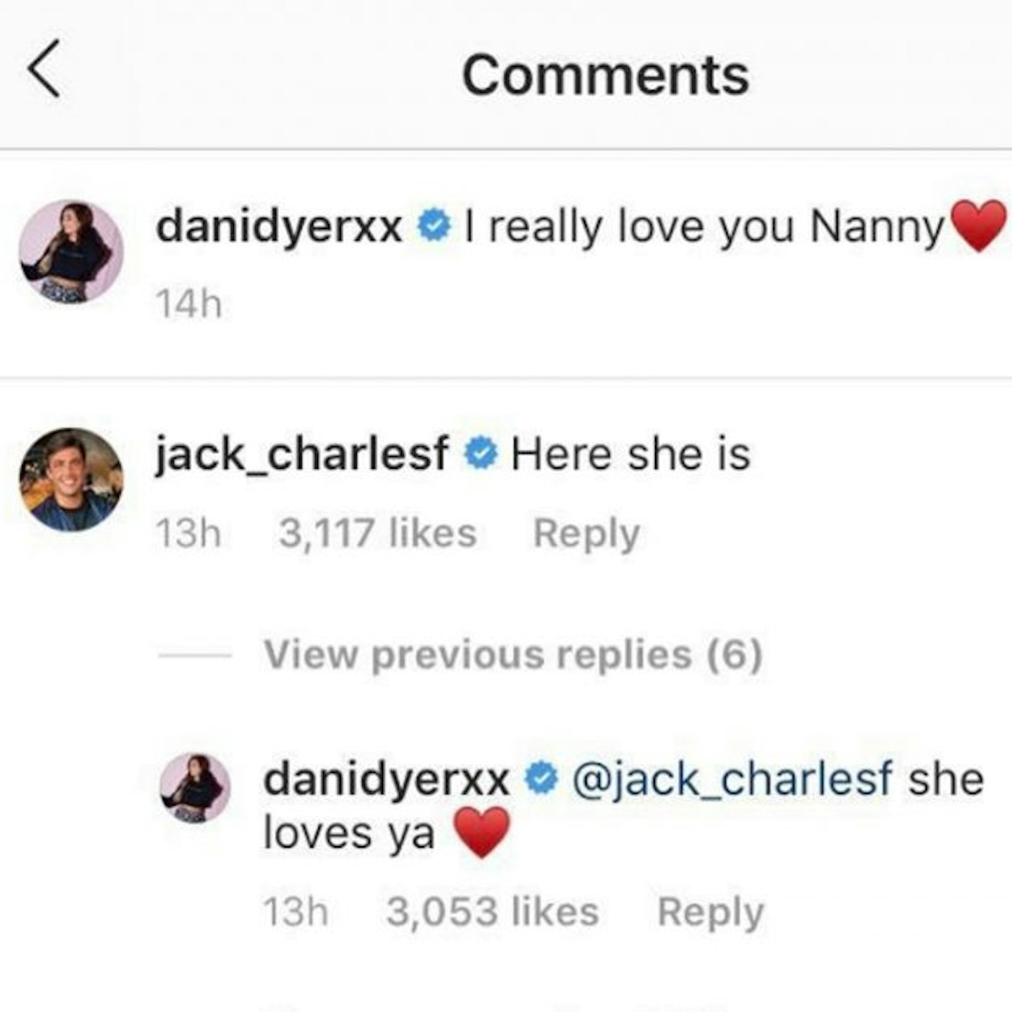 Dani Dyers Instagram comments
