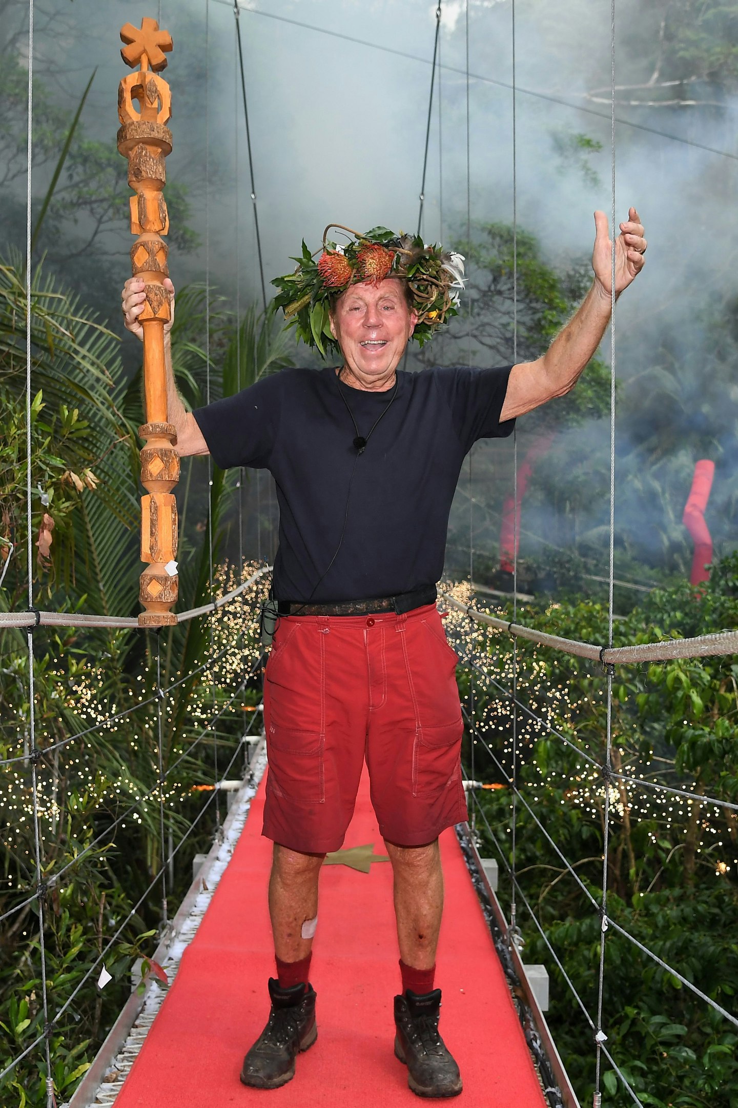 HARRY WINS I'M A CELEB