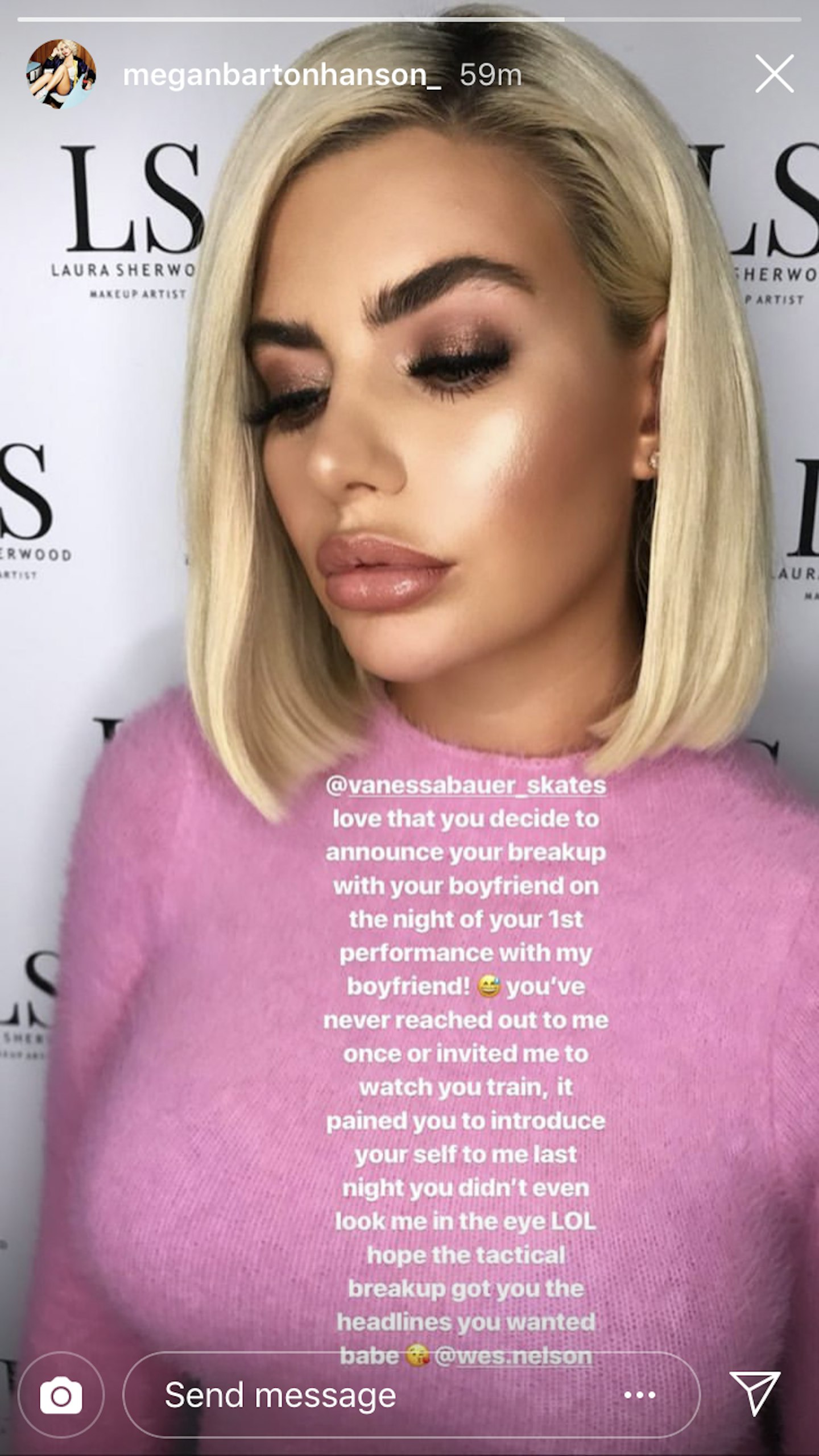 Megan screenshot Instagram story