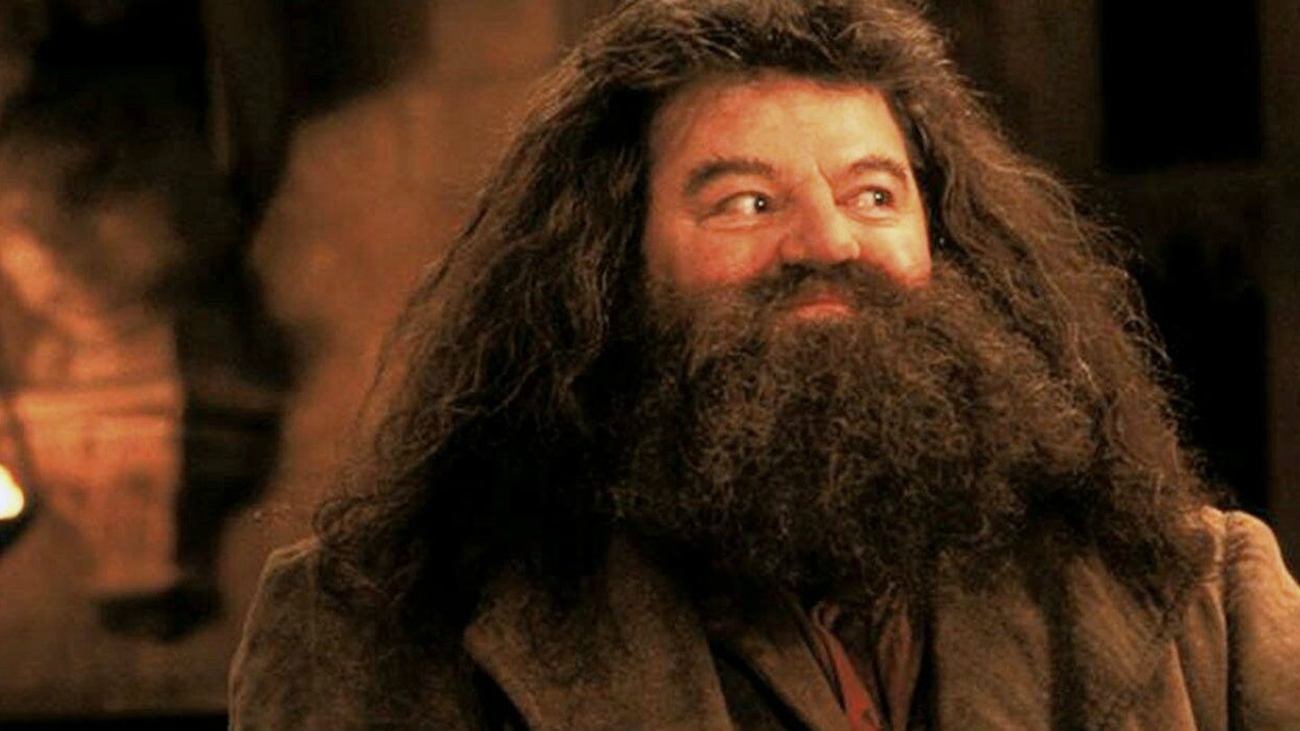 Robbie as Hagrid
