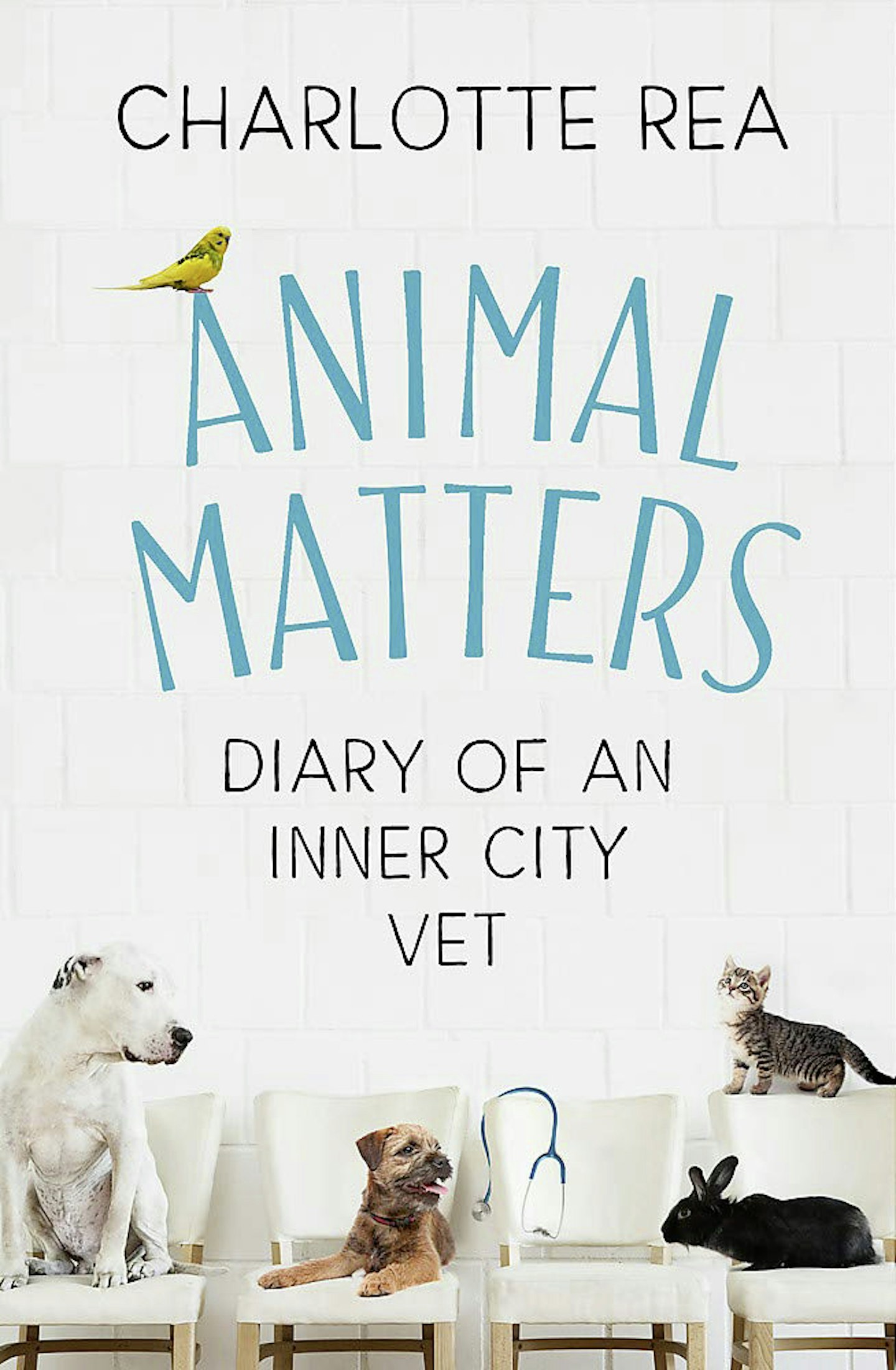 Animal Matters: Diary of an Inner City Vet - Charlotte Rea (Coronet)