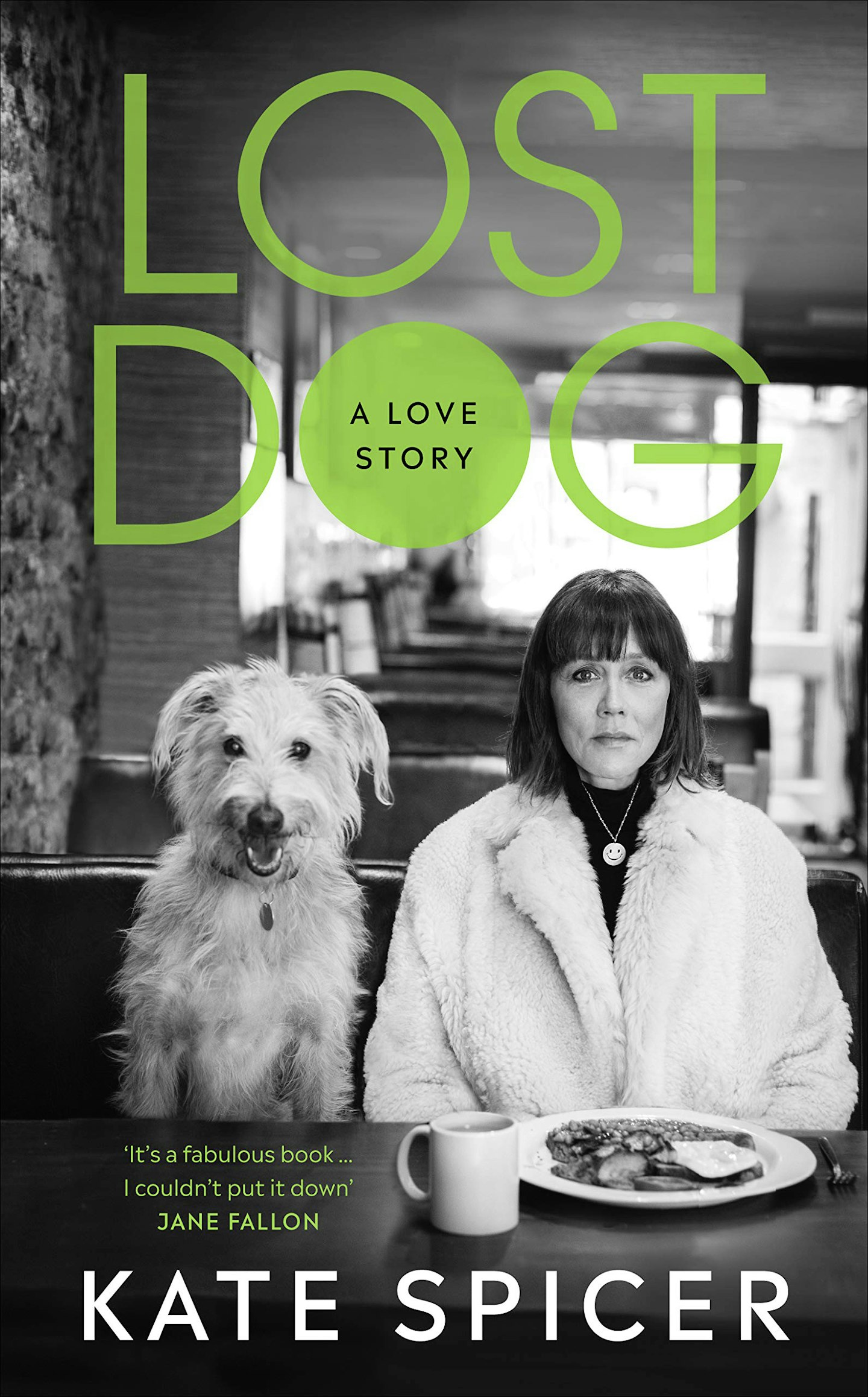 Lost Dog - A Love Story - Kate Spicer (Ebury)