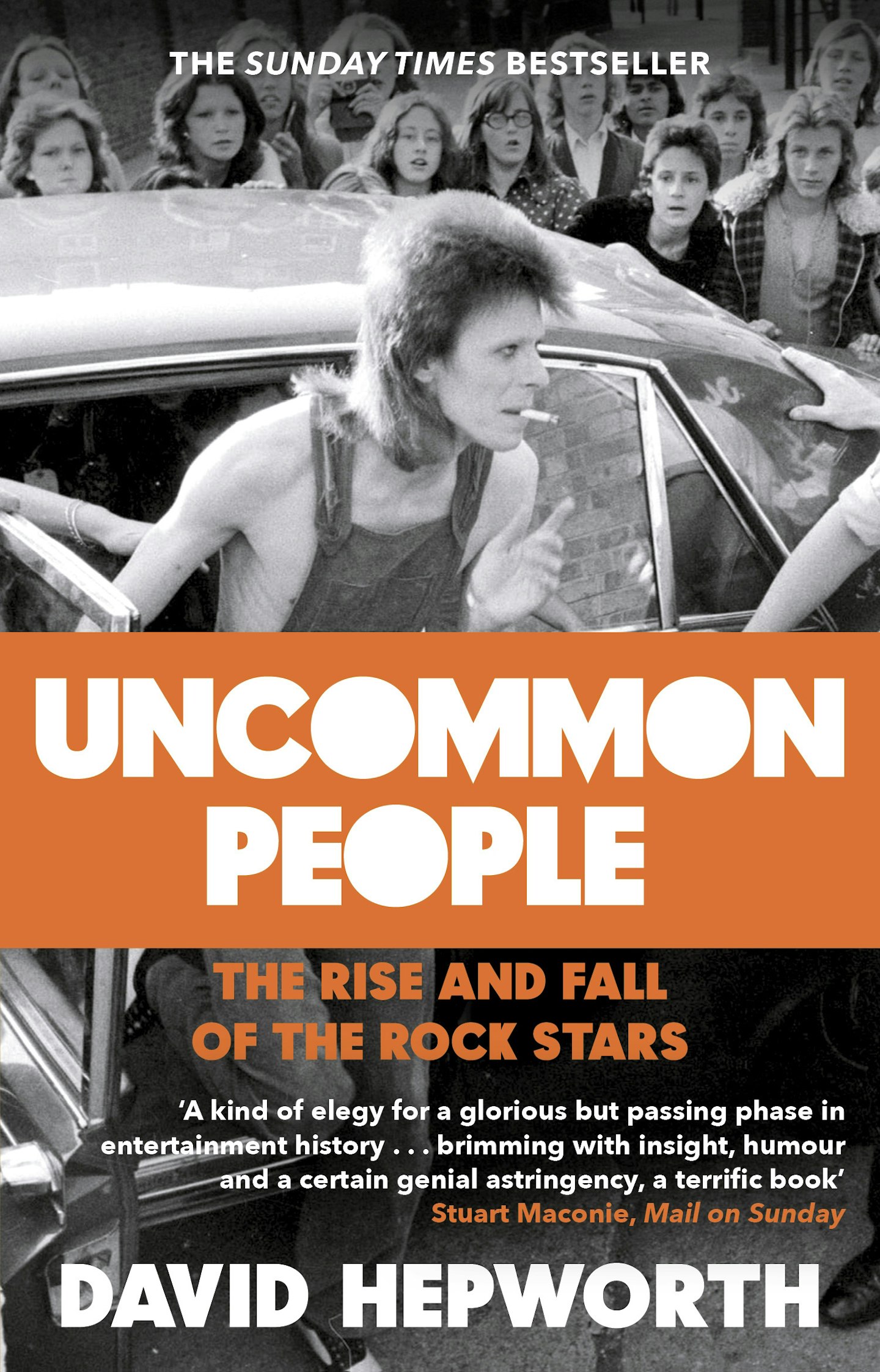 Uncommon People - The Rise and Fall of Rock Stars - David Hepworth (Black Swan)