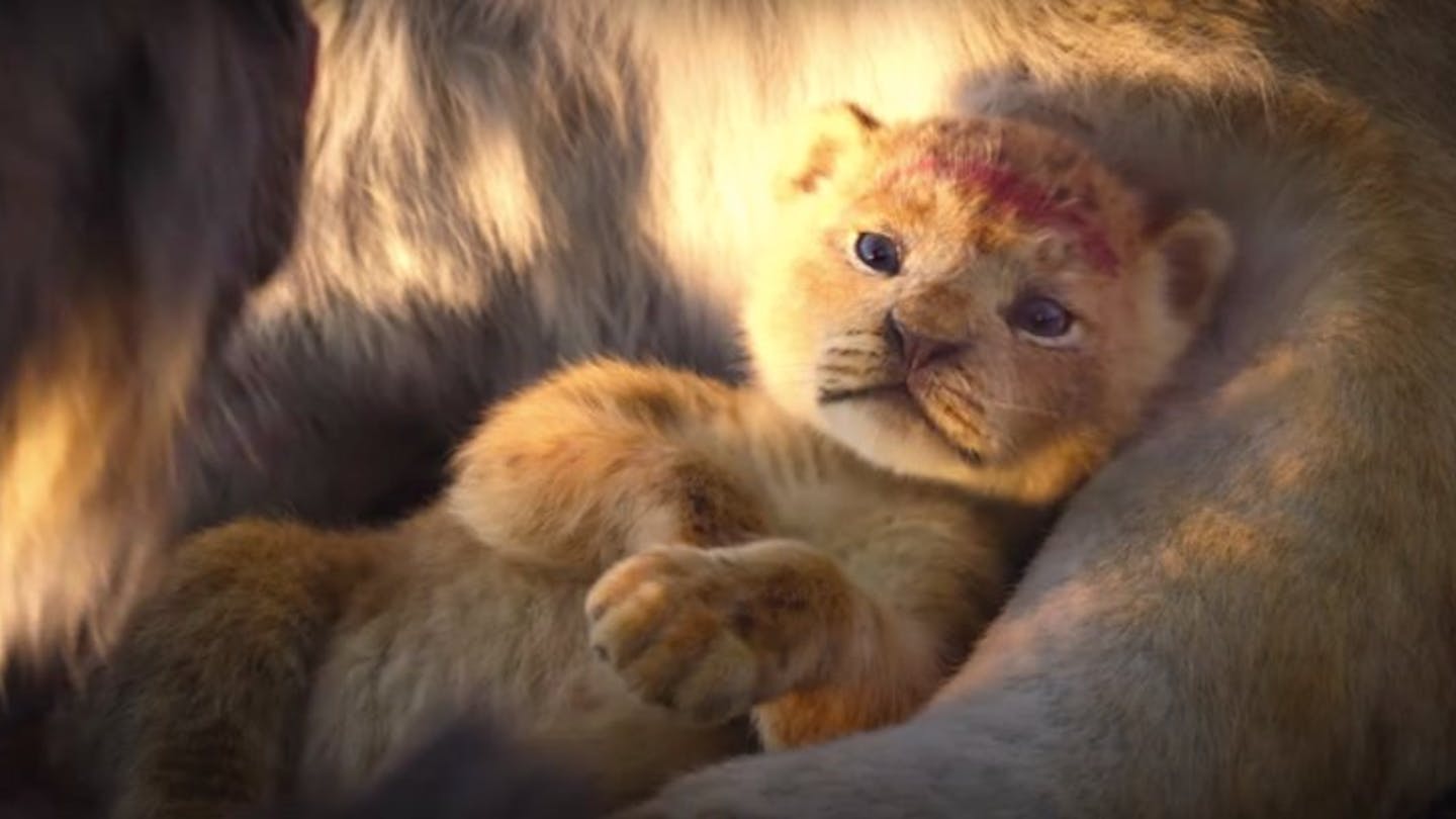 The Lion King Disney Release First Full length Trailer For Live action The Lion King Disney Release First Full length Trailer For Live action