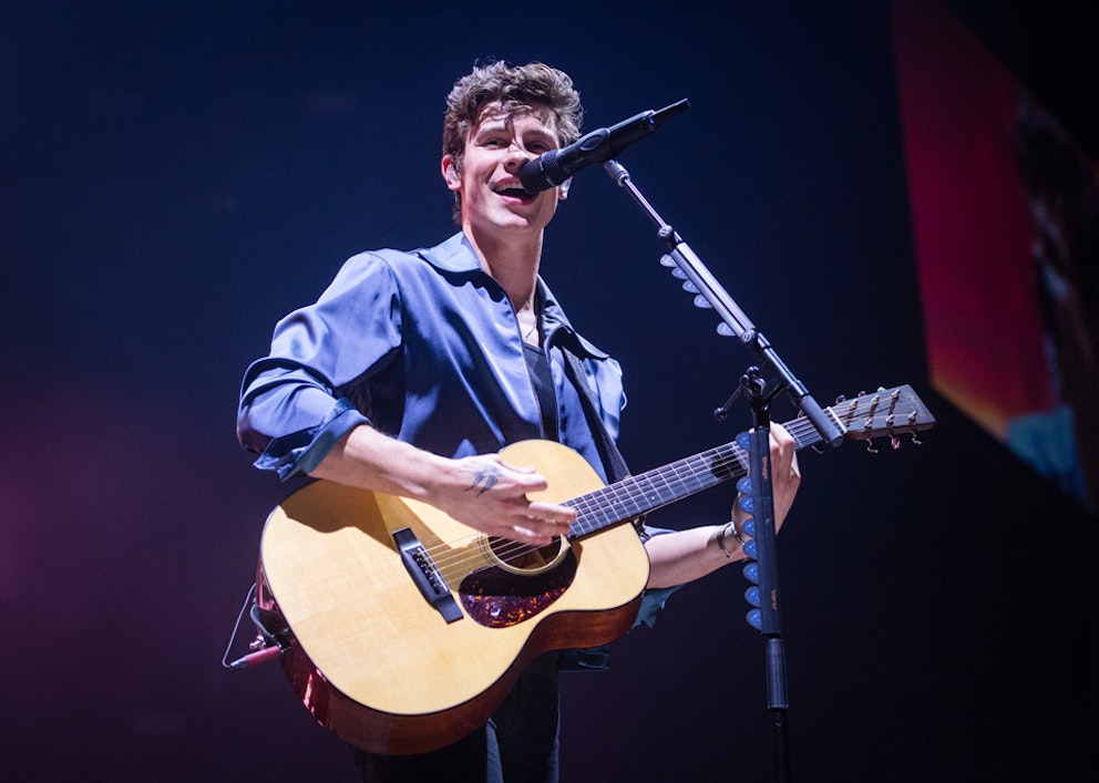Shawn Mendes visual data 7