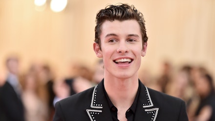 We All Can't Stop Thinking About The New Shawn Mendes X Calvin Klein  Campaign | Grazia