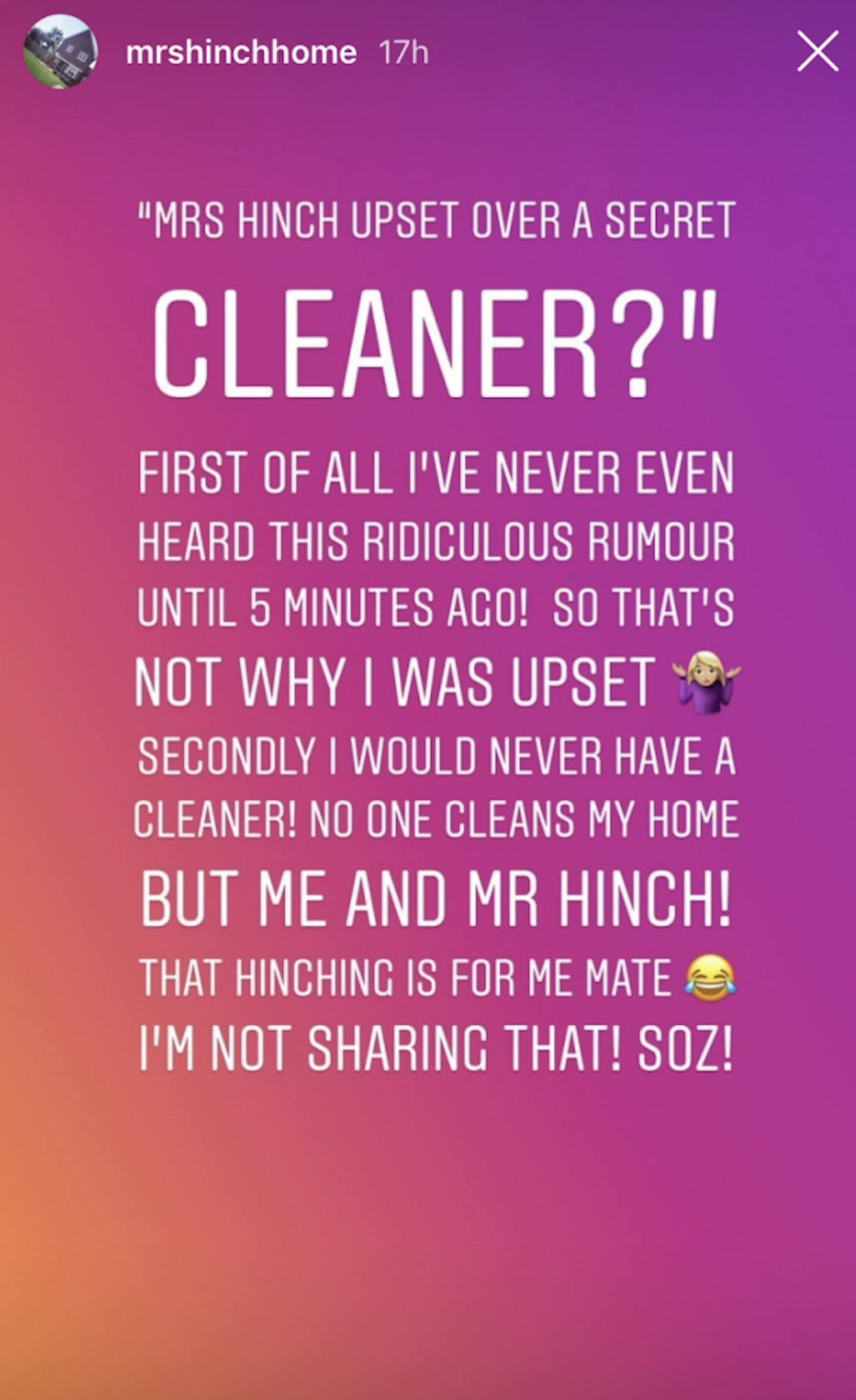 Mrs Hinch Instagram Story
