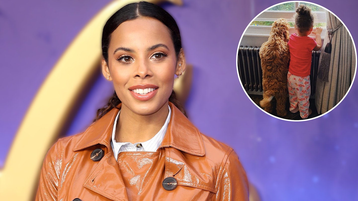 rochelle humes ginger puppy