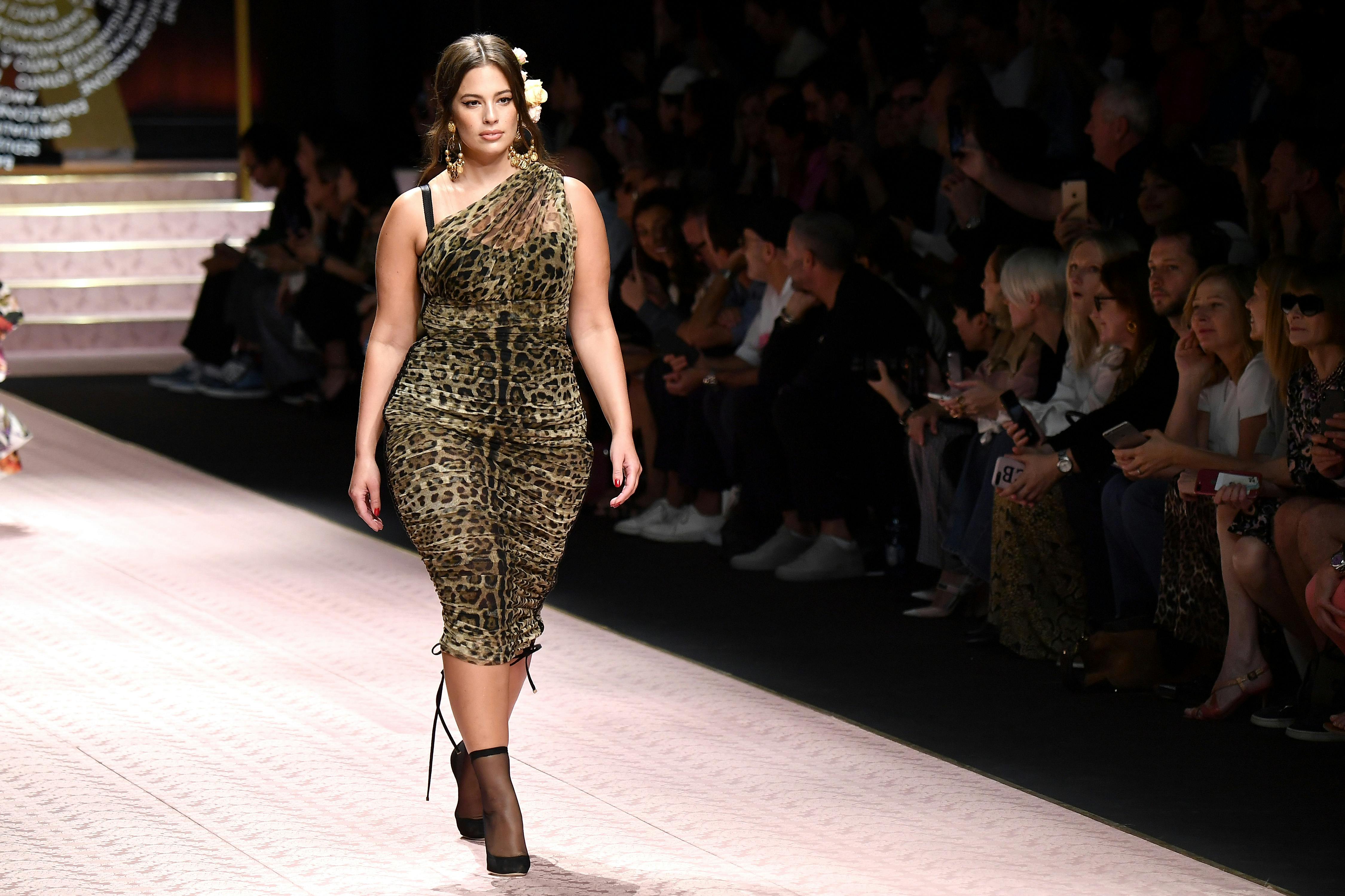 Dolce and gabbana discount plus size dresses