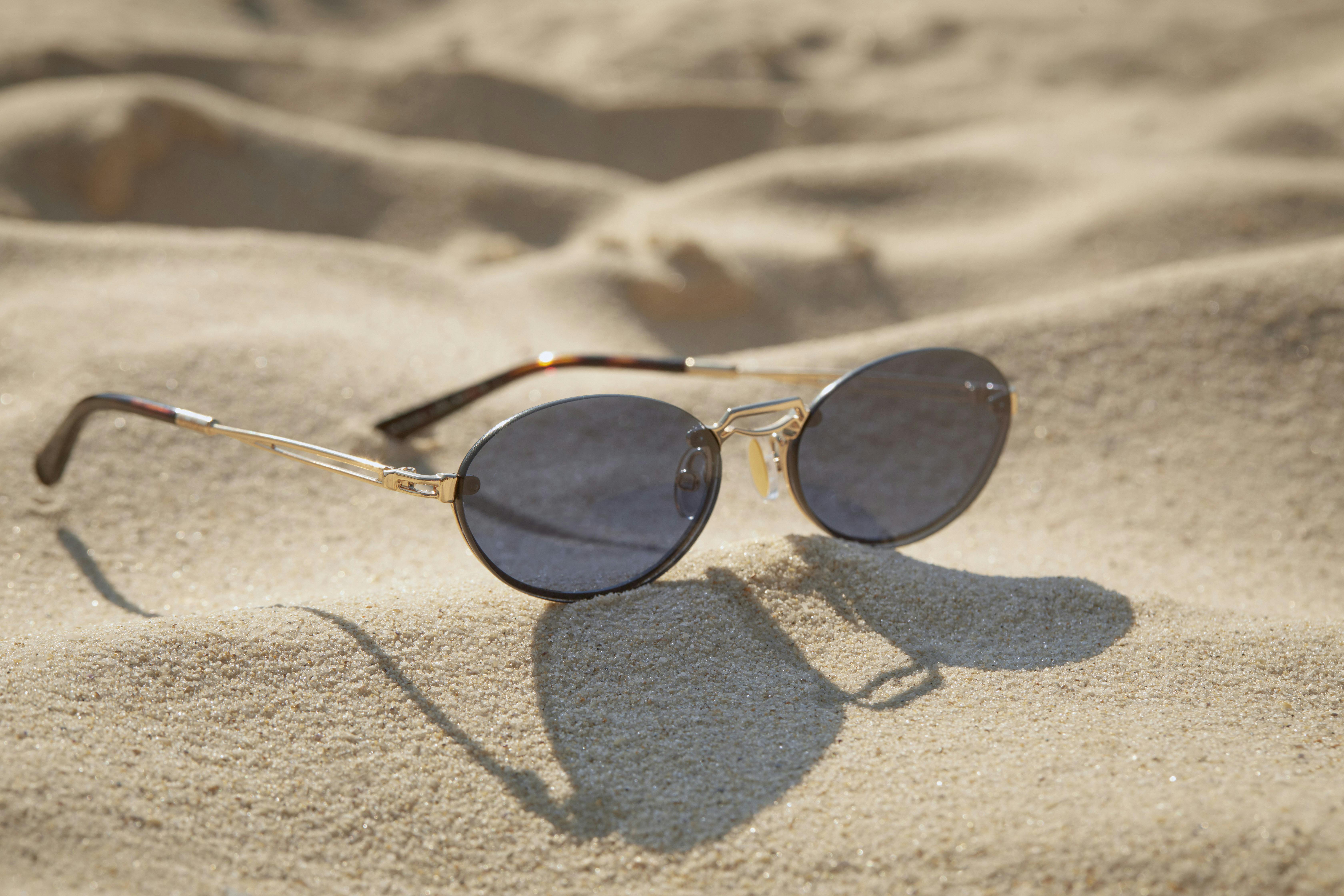 Max mara sunglasses 2019 online