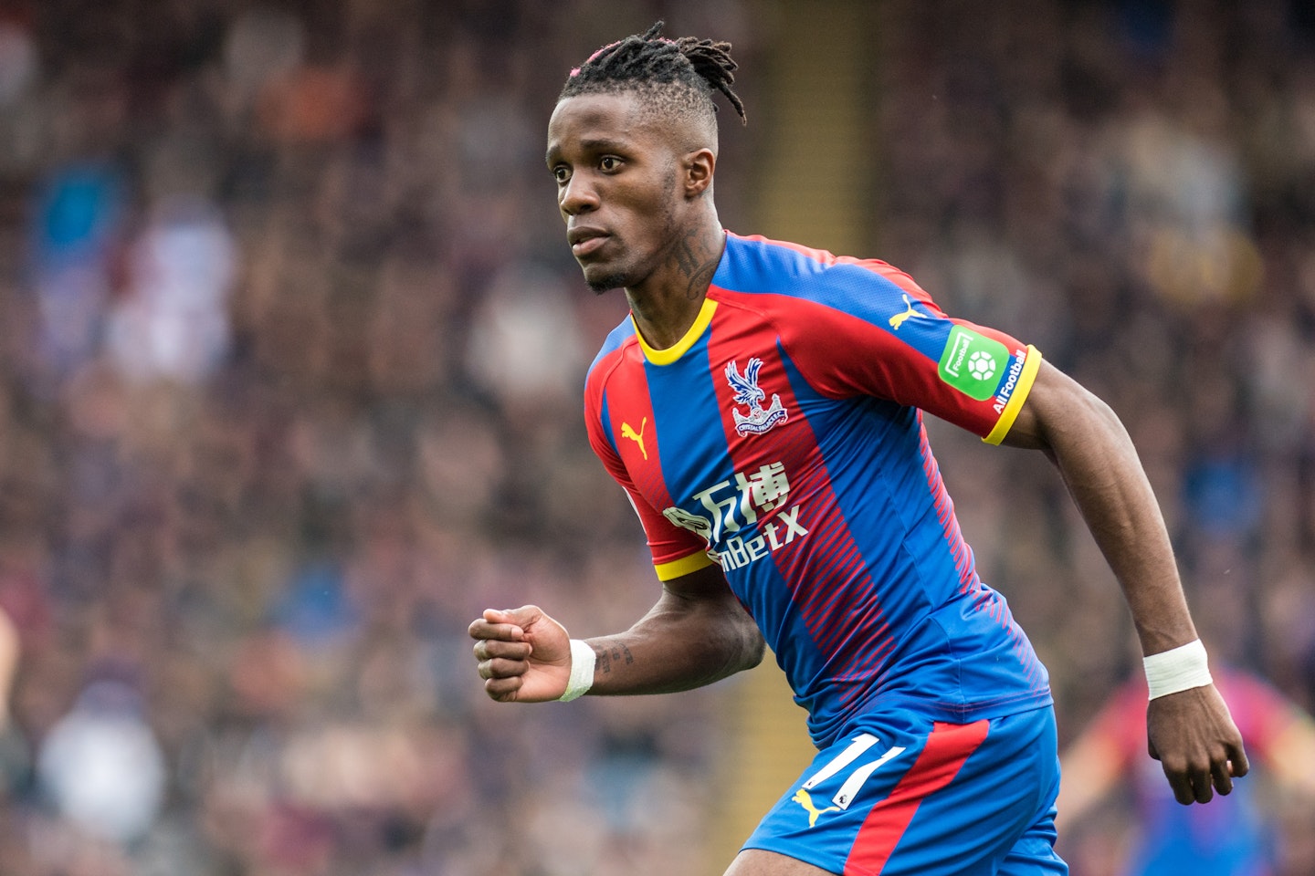 Zaha