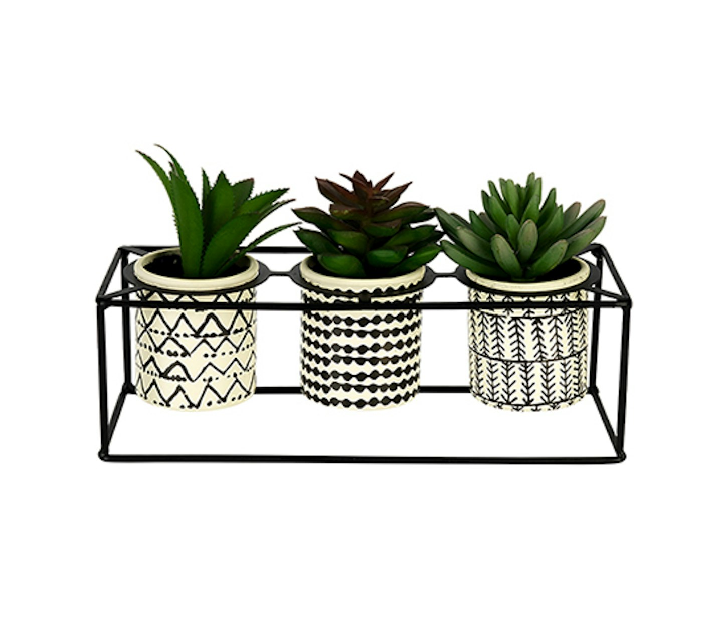 Sainsbury's Home global monochrome succulent pots x3, £15
