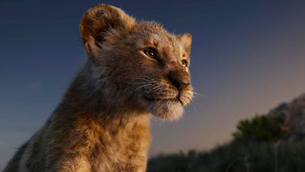 The Lion King 19 Review Movie Empire
