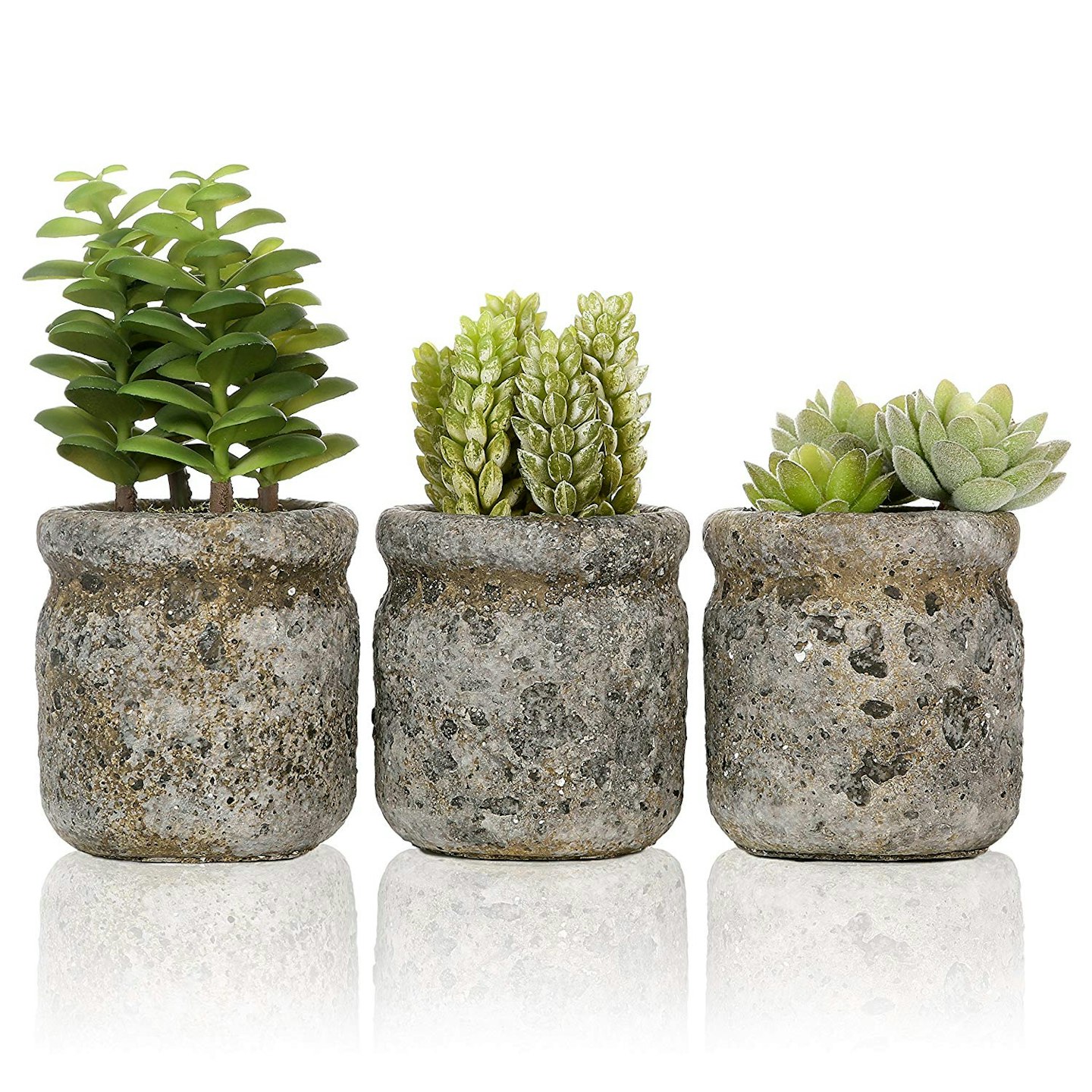 My Gift Artificial Succulent Planter £22.99