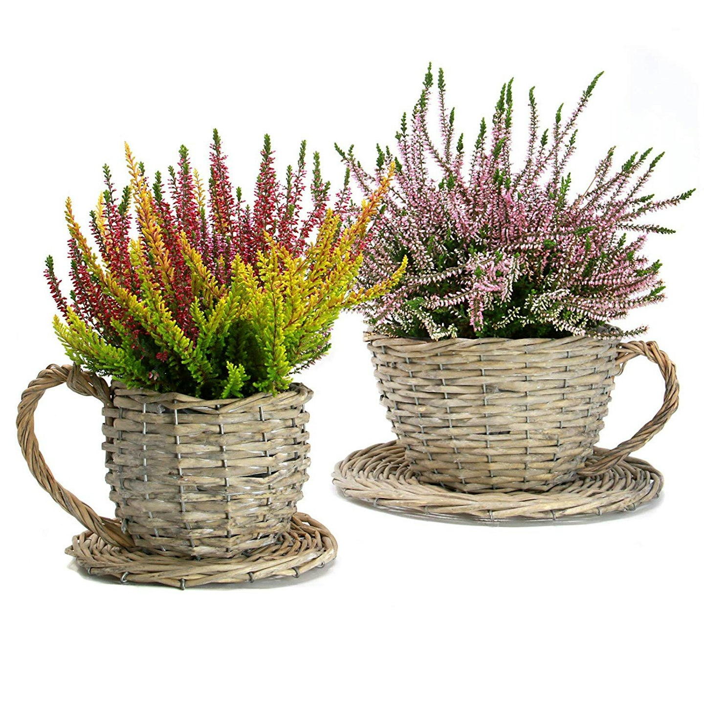 Set of Two Willow Teacup Planters £11.99