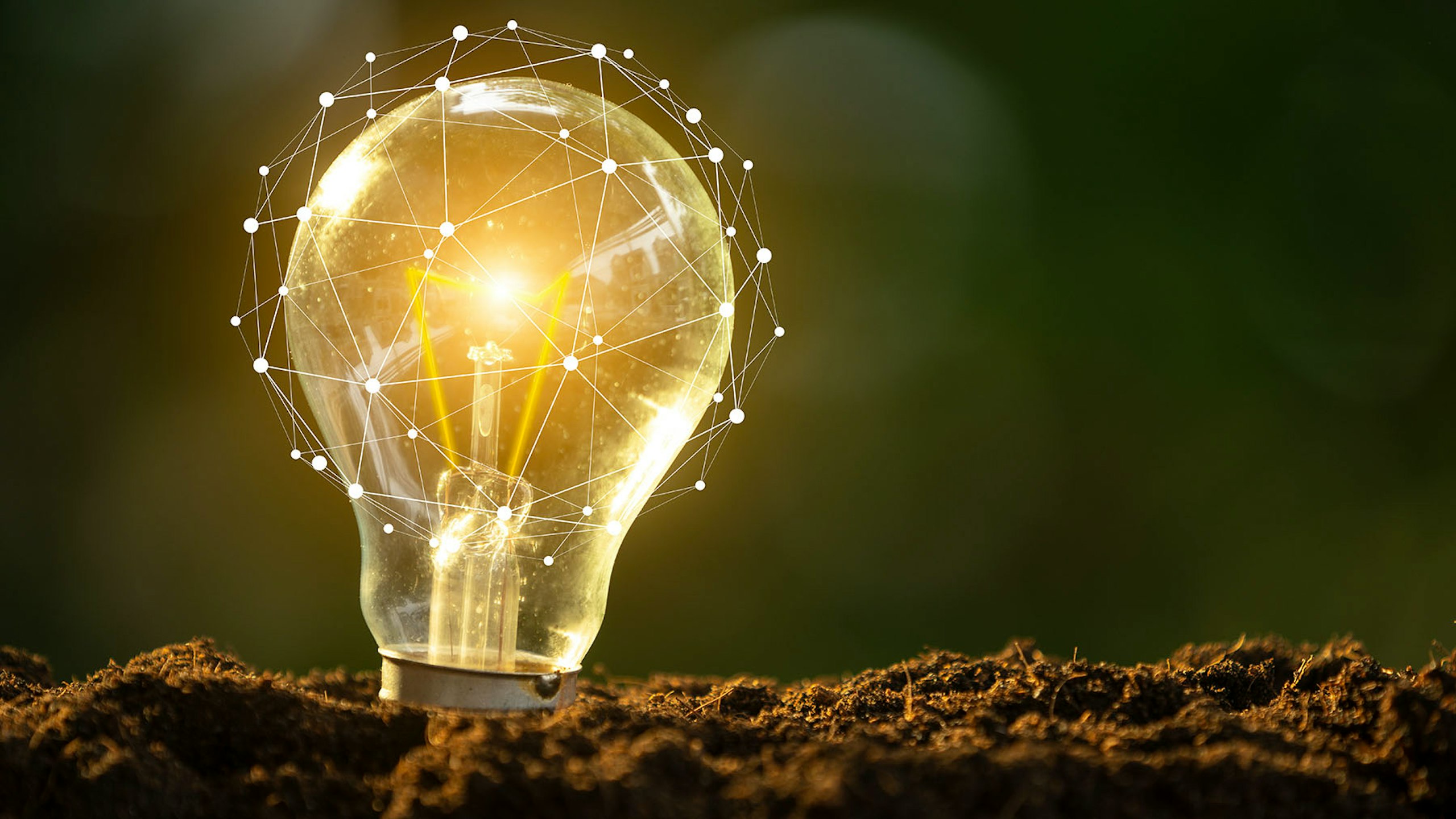 The most useful smart lightbulbs on sale today