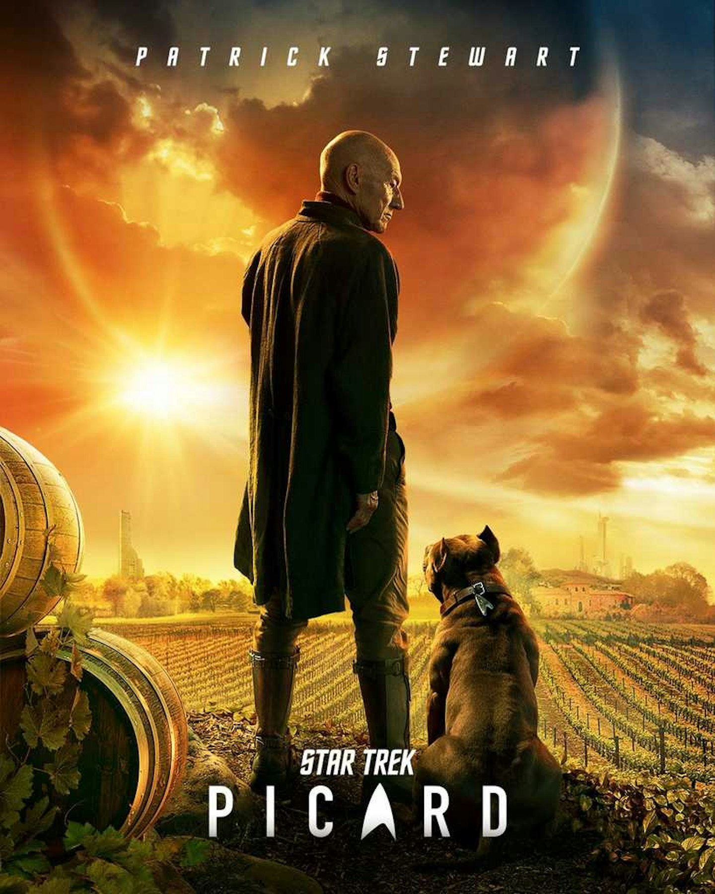 Star Trek Picard - poster