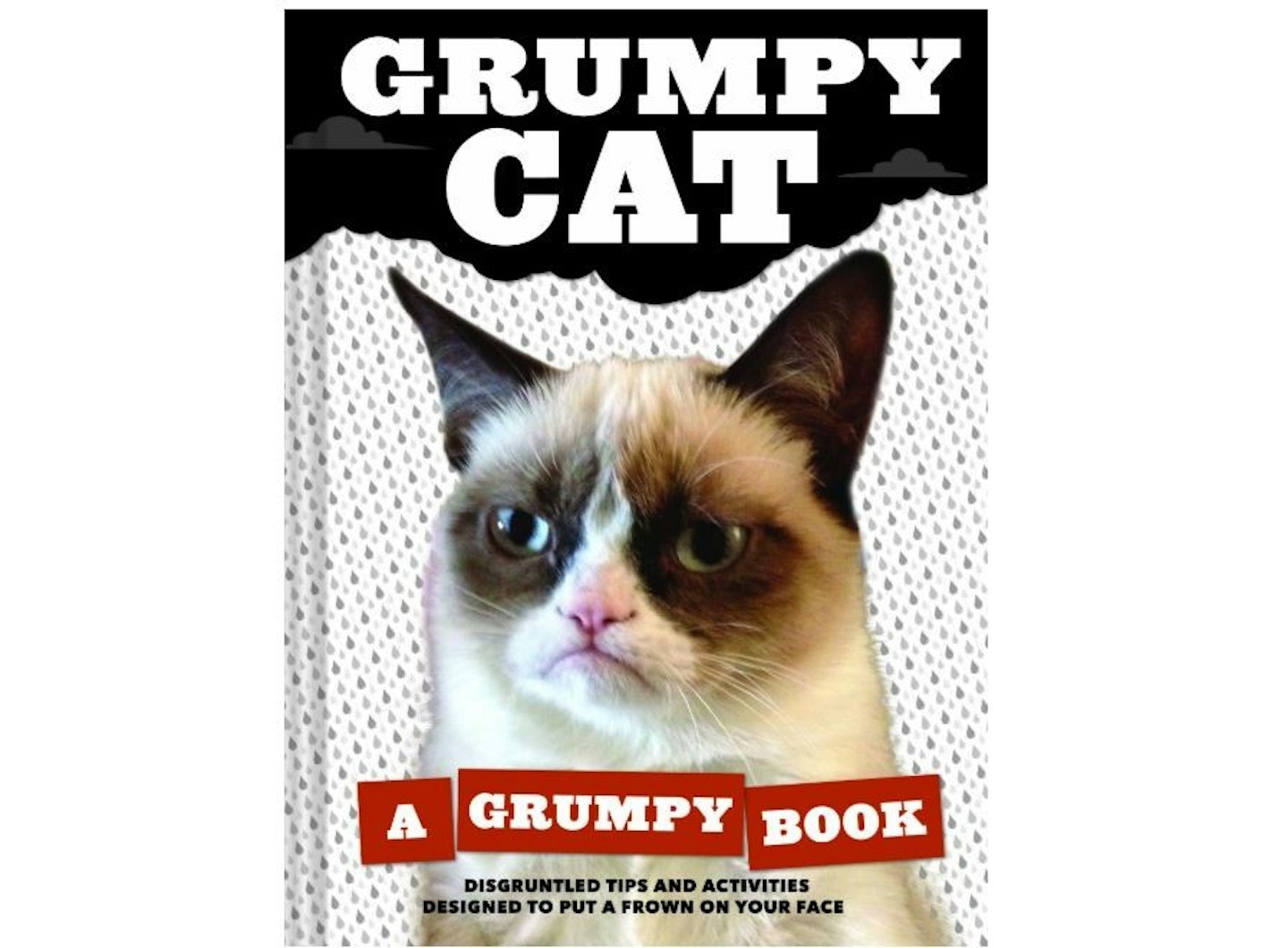 Grumpy Cat: A Grumpy Book for Grumpy Days, £8.46