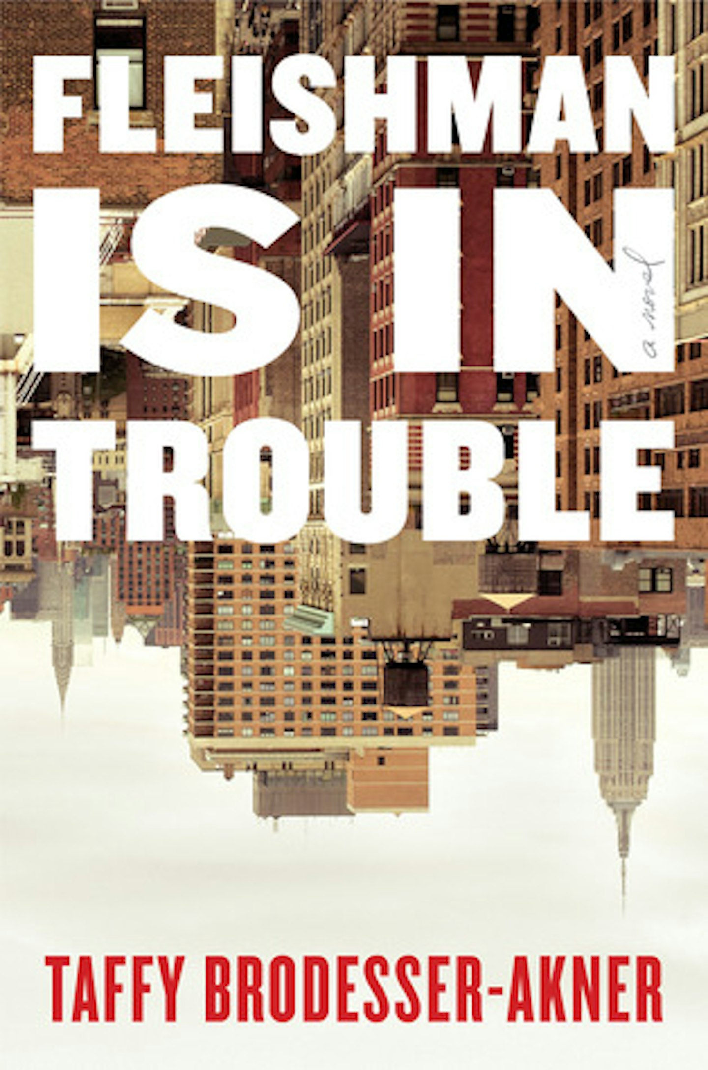 fleishman is in trouble book