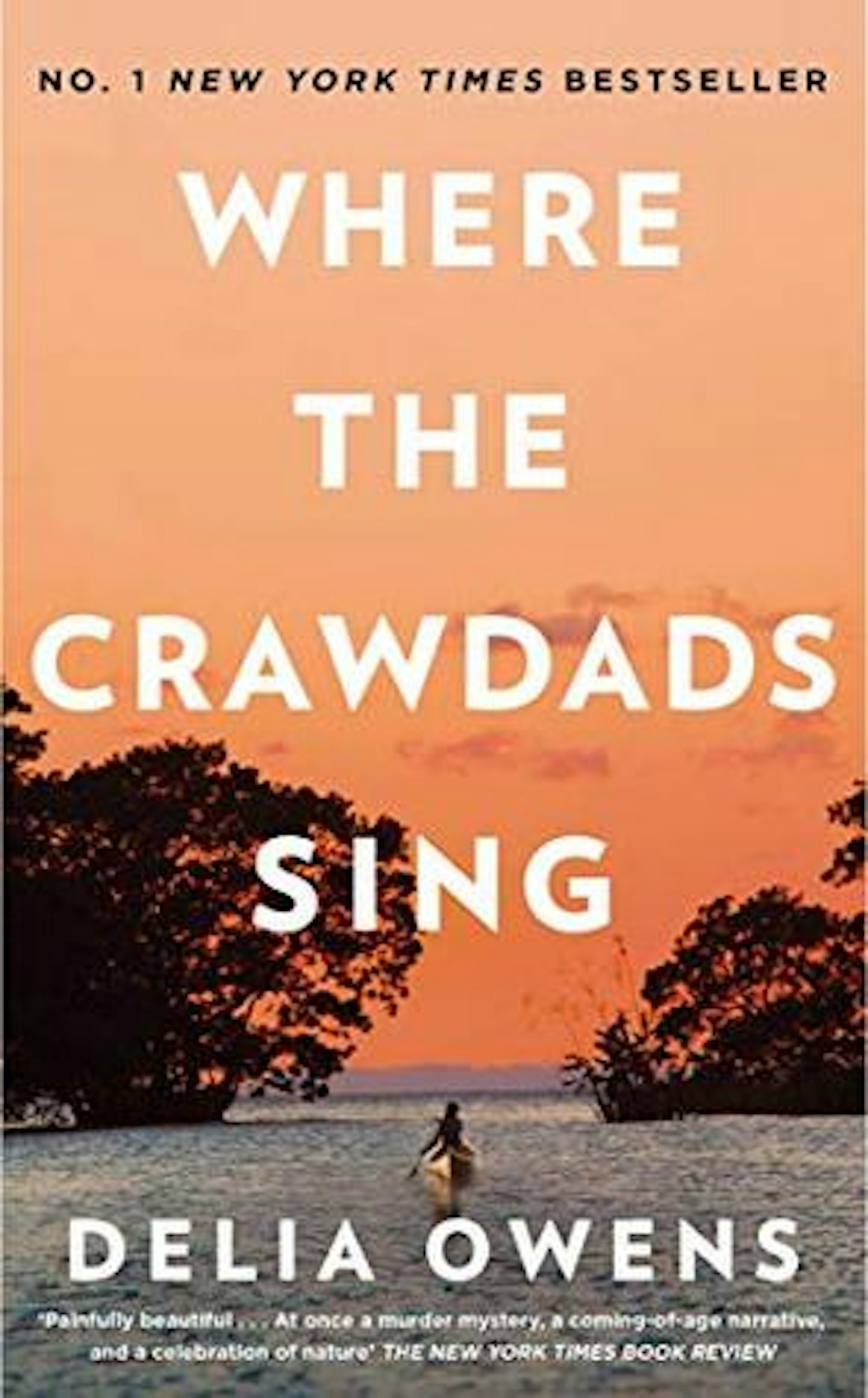 where the crawdads sing book