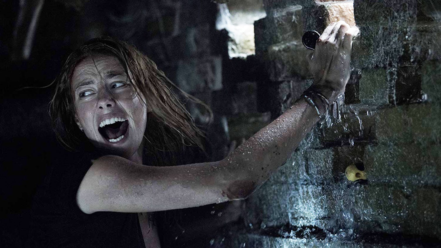 Crawl 2019 discount free online movie