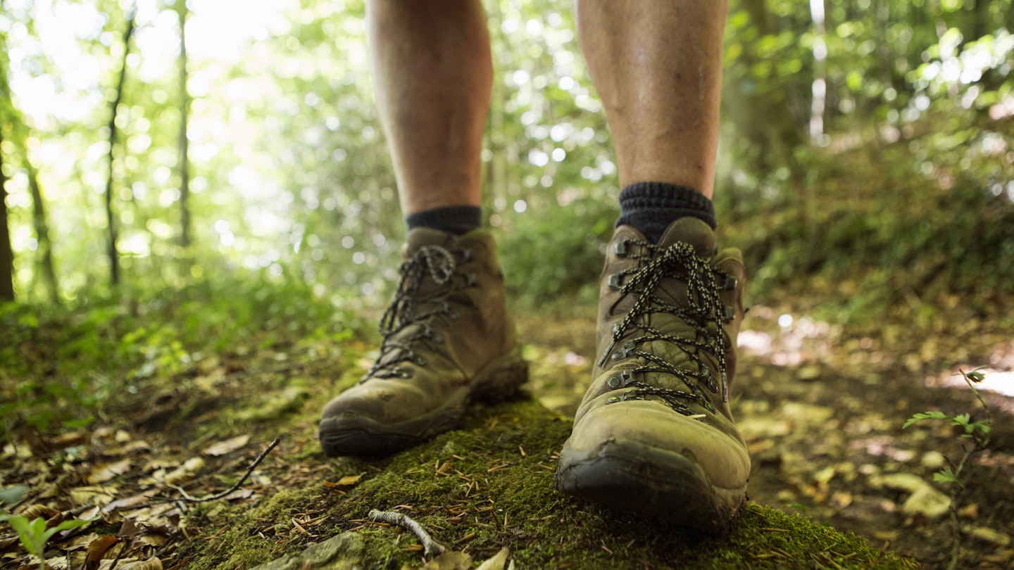 One of the best pairs walking boots being worn in a forest.