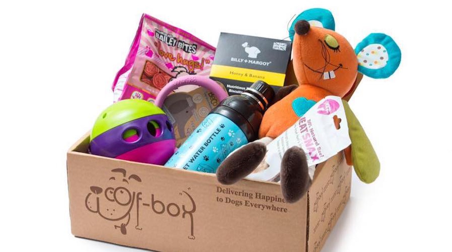 The Best Dog Subscription Bo To