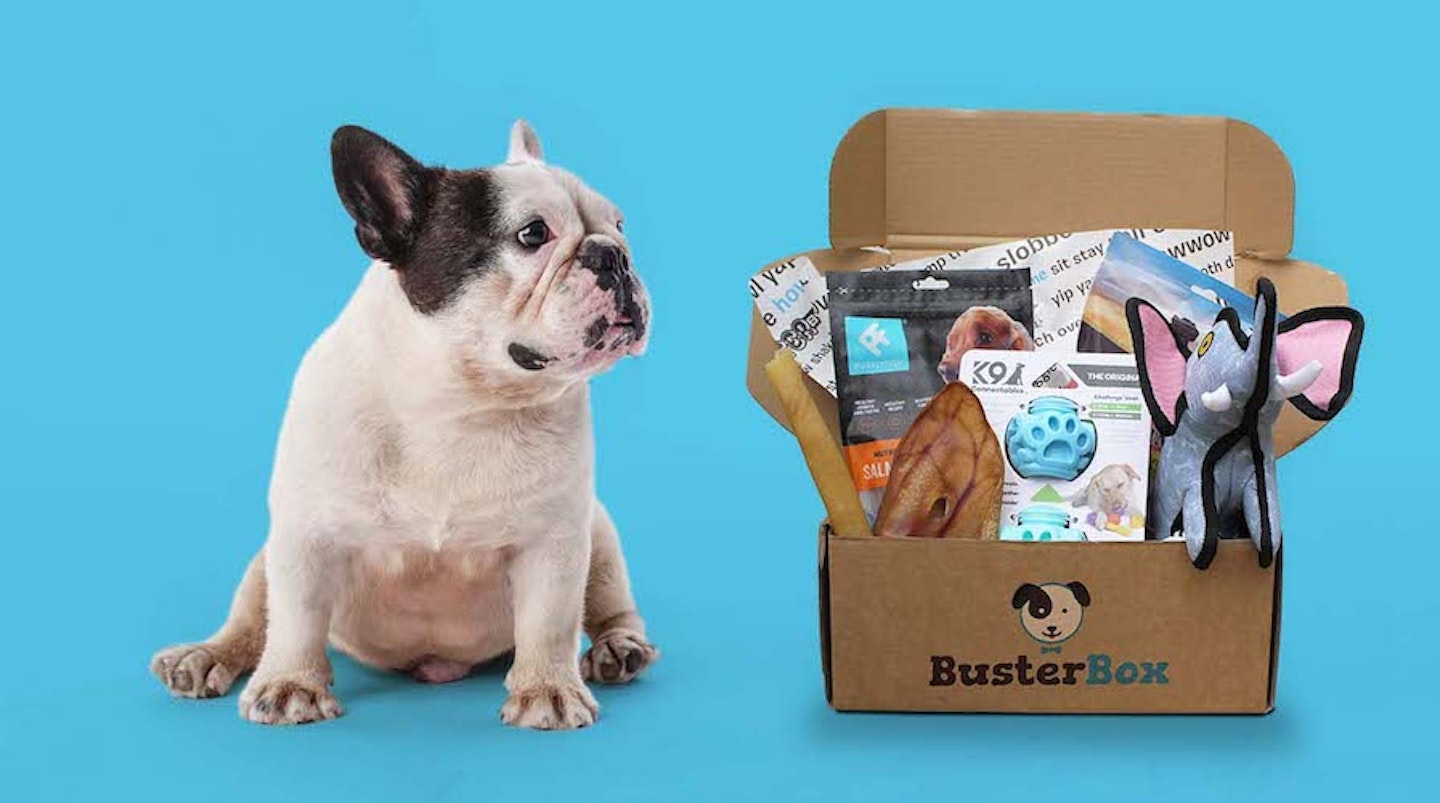 The Best Dog Subscription Bo To