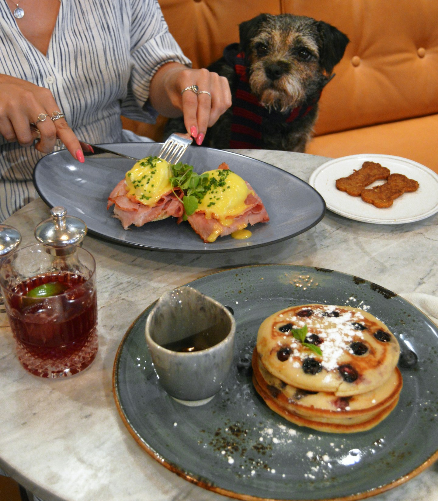 doggy brunch london