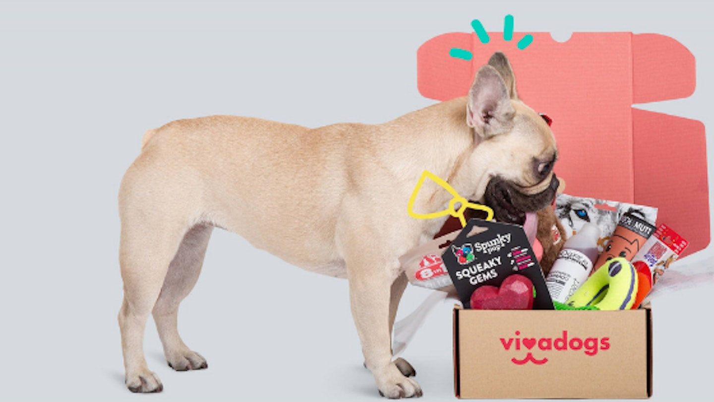 The Best Dog Subscription Bo To