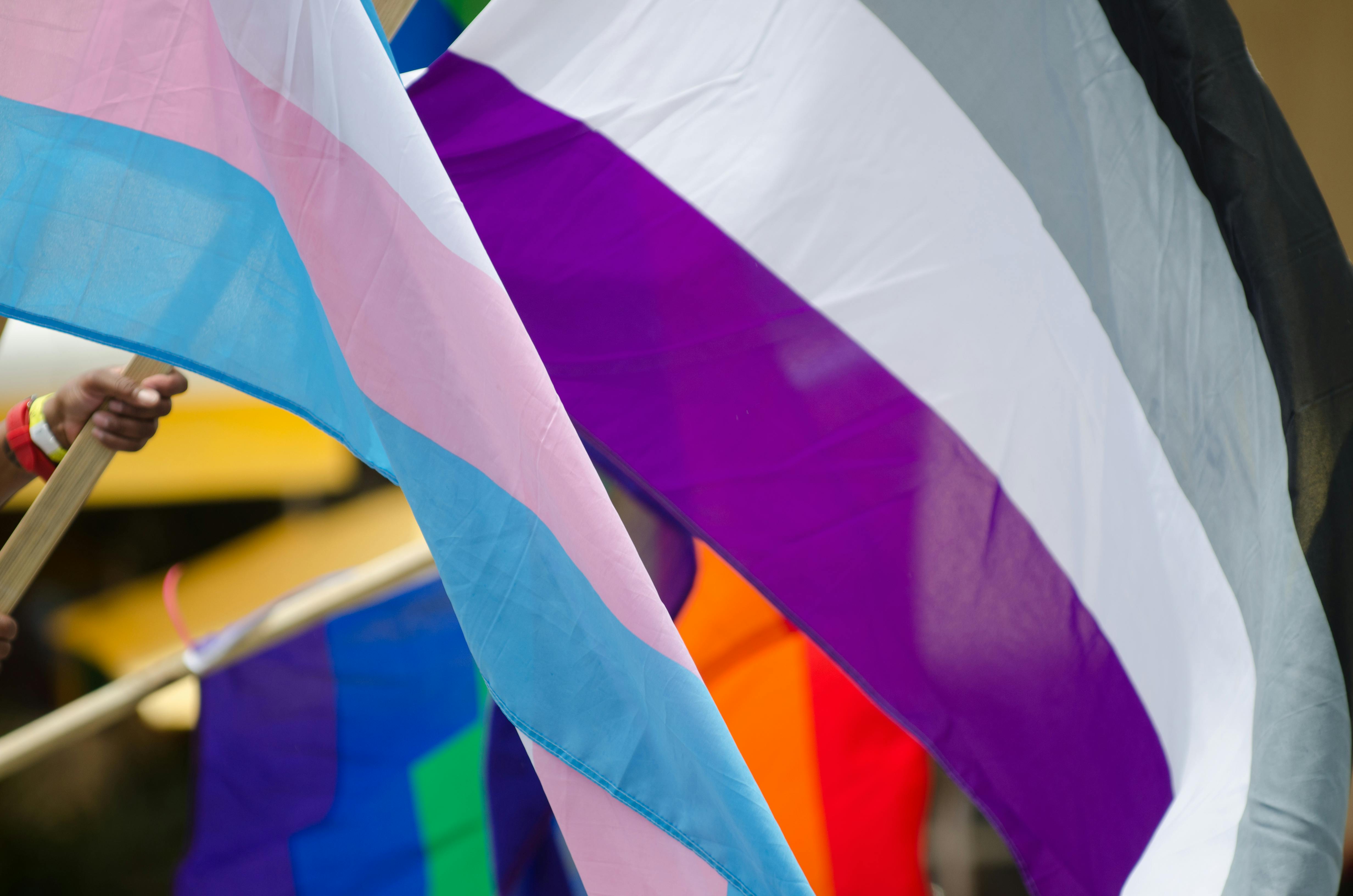 What Do The Terms Asexual and Demisexual Mean?