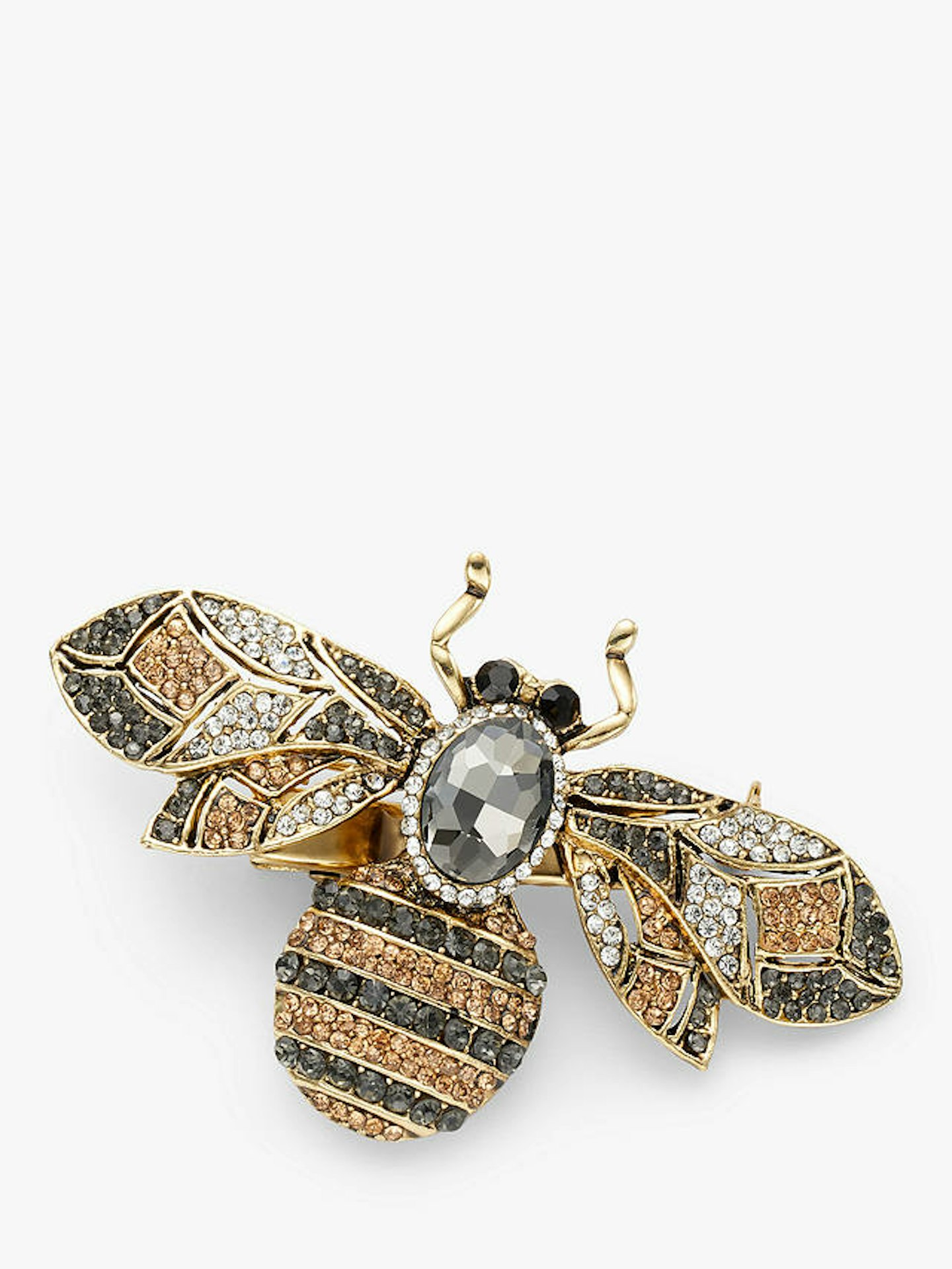 brooch