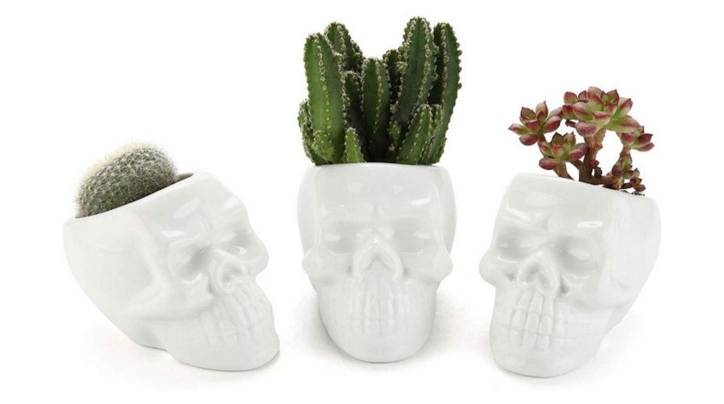 Set of Three White Ceramic Skulls