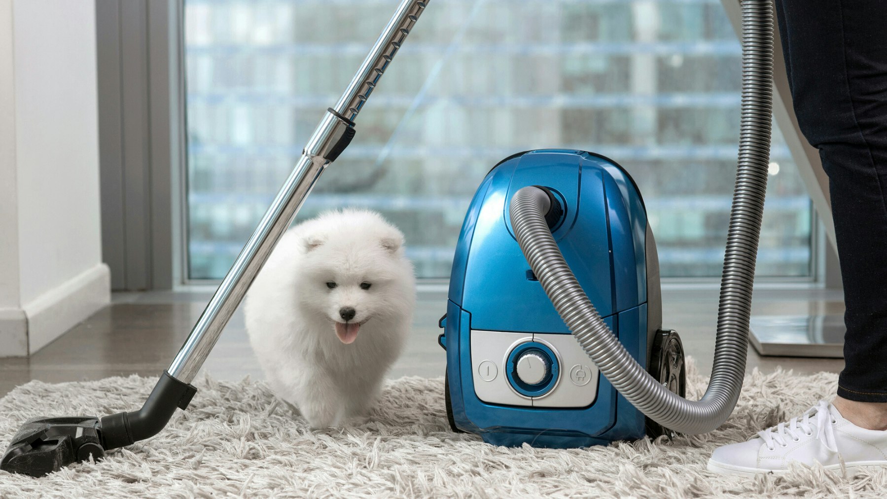 Best discount hoovers uk