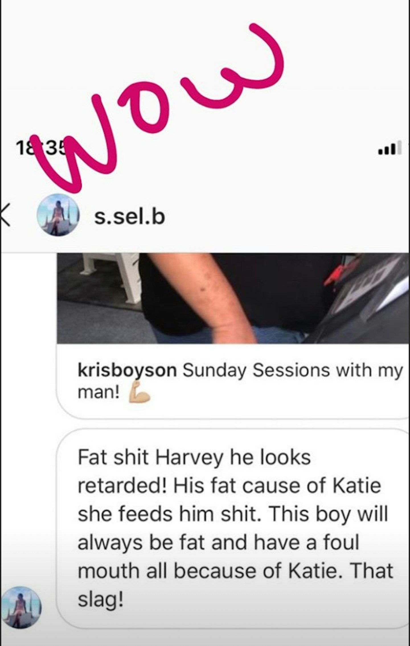 Screenshot of Katie Price's troll's message