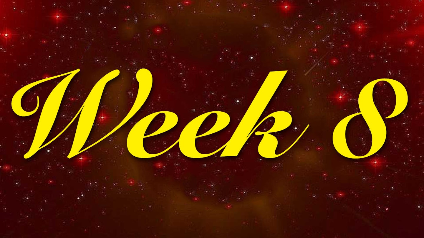 Week Eight