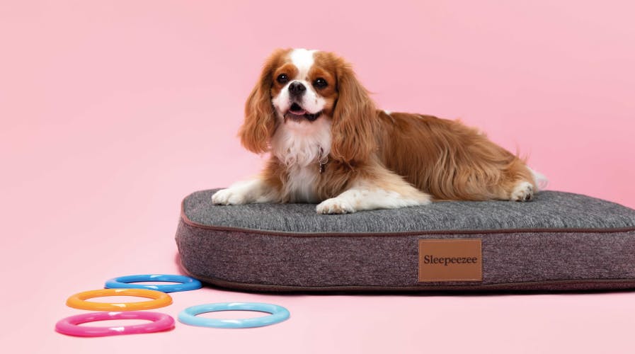 sleepeezee dog bed