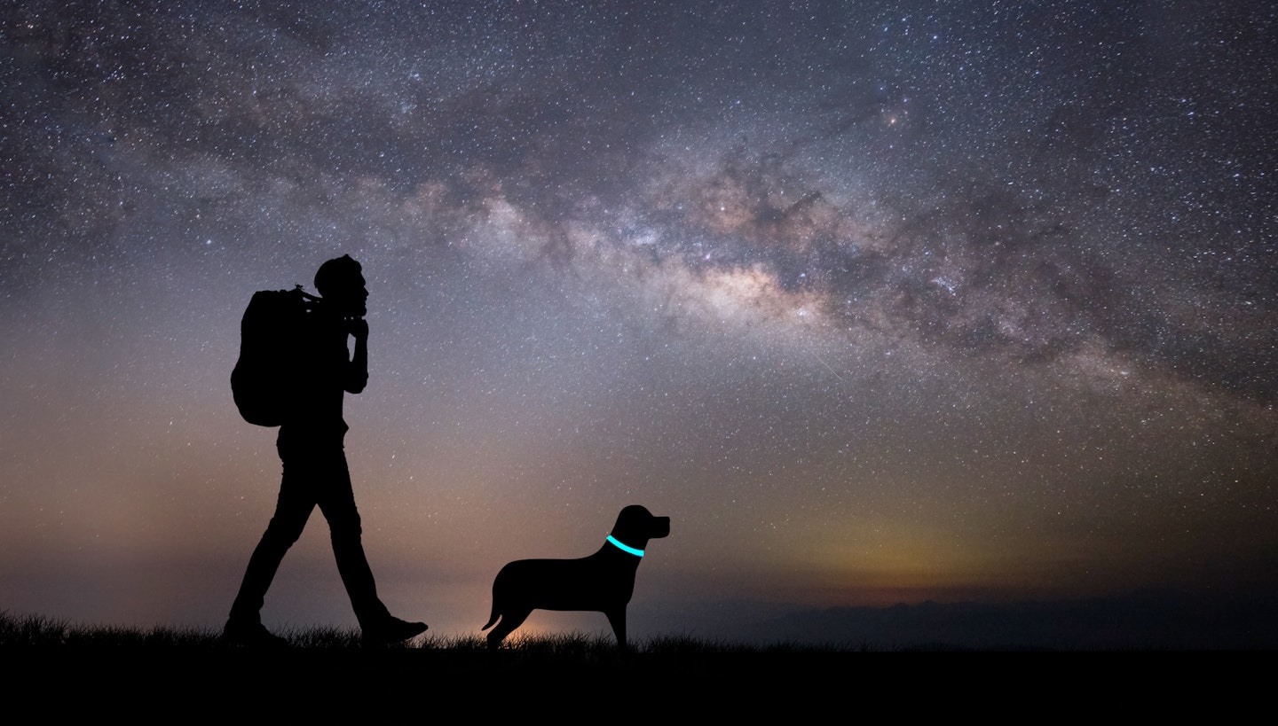 Man with dog and the best light-up dog collars in darkness