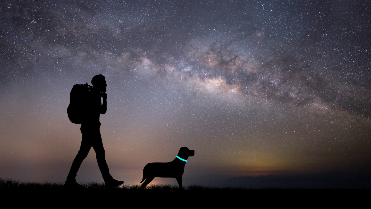 Man with dog and the best light-up dog collars in darkness