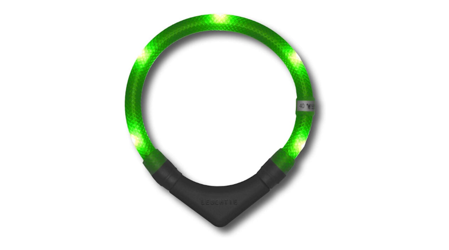 LEUCHTIEu00ae Plus LED Light Collar For Dogs