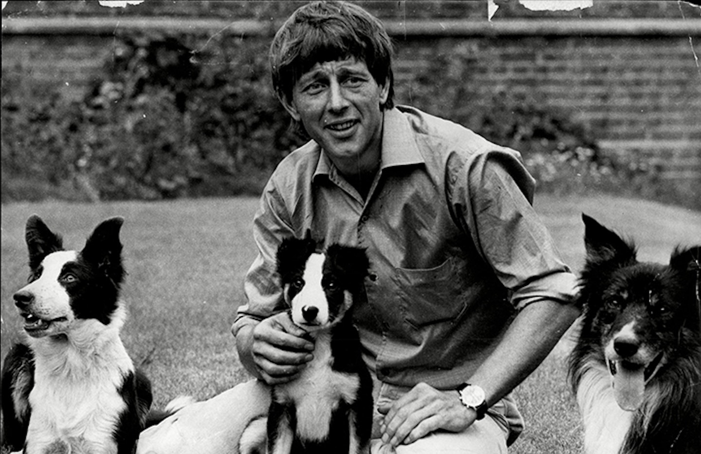 john-noakes-dogs