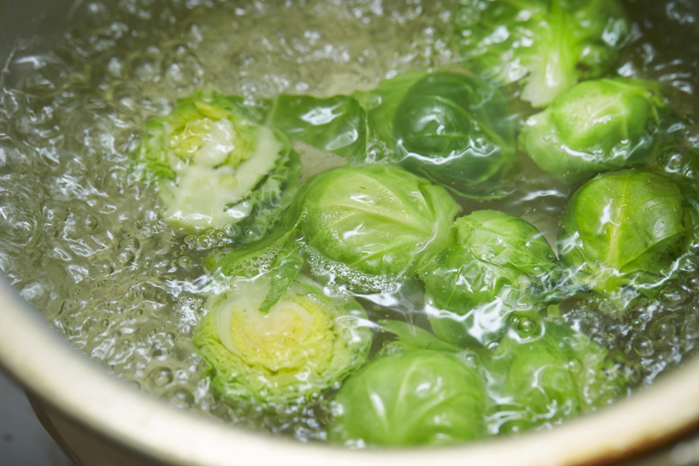 sprouts